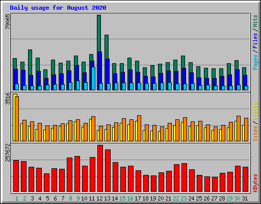 Daily usage for August 2020