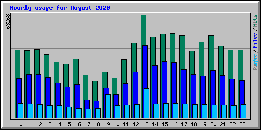 Hourly usage for August 2020