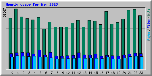 Hourly usage for May 2025