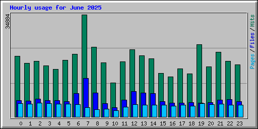 Hourly usage for June 2025