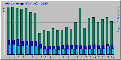 Hourly usage for July 2025