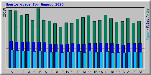 Hourly usage for August 2025