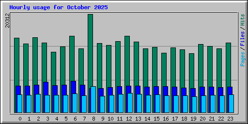 Hourly usage for October 2025