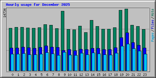 Hourly usage for December 2025