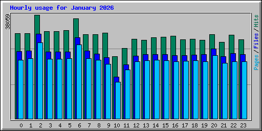 Hourly usage for January 2026