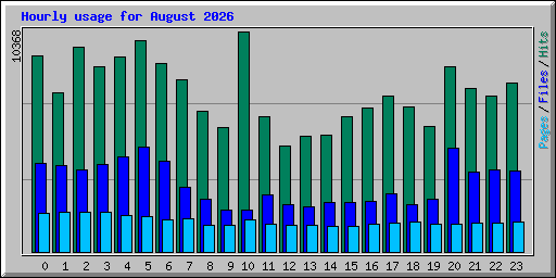 Hourly usage for August 2026